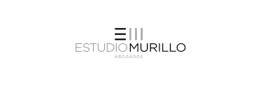 Cliente Corporativo GEOTOPO 8